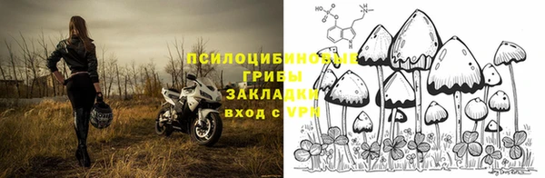 сатива Наволоки