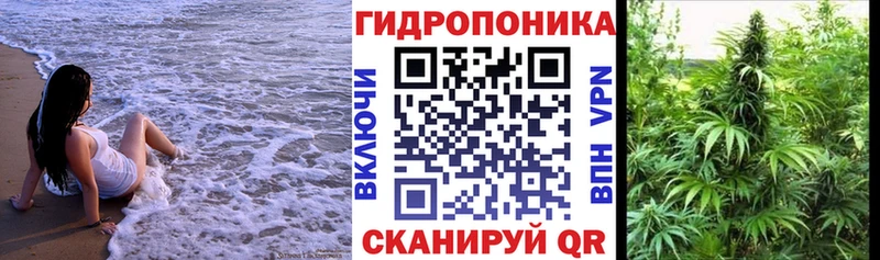 Шишки марихуана планчик Озёры